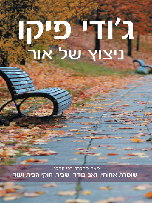 Cover of ניצוץ של אור (A Spark of Light)
